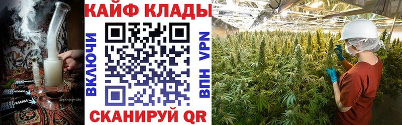 Псилоцибиновые грибы Ессентукская