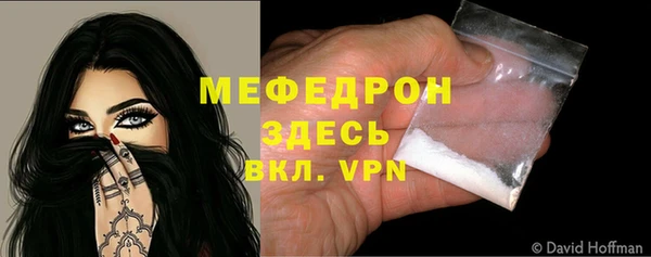 прущие грибы Богданович