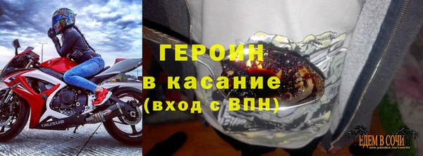 прущие грибы Богданович