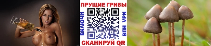 купить закладку  Ессентукская  Псилоцибиновые грибы мухоморы 